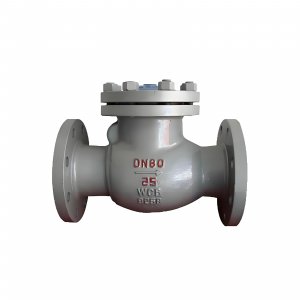 DN50 PN25 介質(zhì)：甲胺，溫度：80℃止回閥
